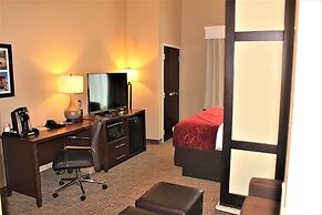 Comfort Suites Huntersville near Lake Norman