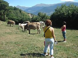 Terralta