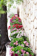Quinta Bonita Luxury Boutique Hotel