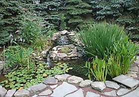 Brownstone Colonial Inn