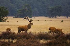 Lodges Veluwse Poort