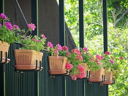 Hotel Apartamento Rural Finca La Media Legua