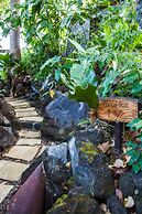 Jicaro Island Lodge Member of the Cayuga Collection