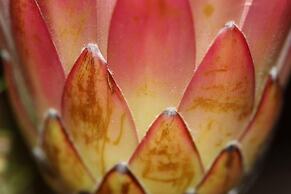 The Lookout Guest House