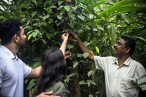 Spice Village - Cgh Earth