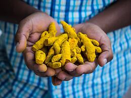 Spice Village - Cgh Earth