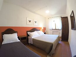 Boschi di Montecalvi