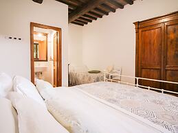Boschi di Montecalvi