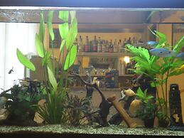 Hotel Villa Primavera