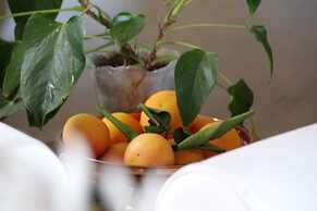 Jan Harmsgat Country House