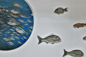 Senatus Hotel - Special Class