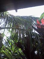 Hotel Amazon Bed & Breakfast