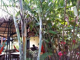 Hotel Amazon Bed & Breakfast