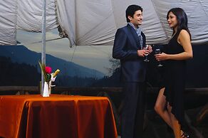 Mastiff Grand Manali