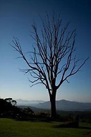 Kings Walden Garden Manor