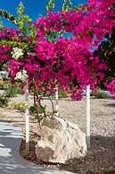 Sea Sound - White Katikies