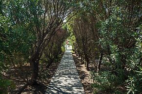 Sea Sound - White Katikies