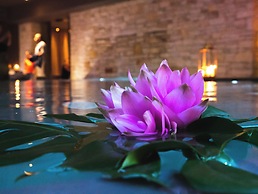 Gran Paradiso Hotel Spa