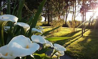 Auberge du Moulin d'Audenfort Guest House