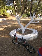 Fiore di Mare Studios