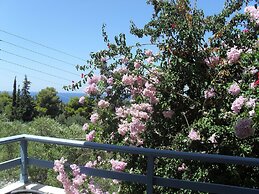 Fiore di Mare Studios