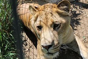 Cedar Lodge and Settlement