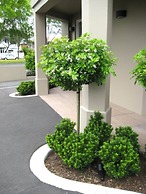 Salerno Motel Apartments