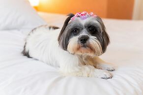 ibis Porto Alegre Moinhos de Vento