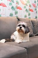 ibis Porto Alegre Moinhos de Vento