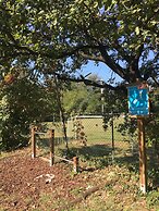 Bran & Denise - Apartments