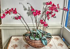 Lion Hotel and Studio Apartments