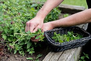 Vilcon Hotel & Konferencegaard