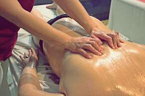 Palace Hotel & Spa Termas de São Vicente