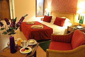 Palace Hotel & Spa Termas de São Vicente