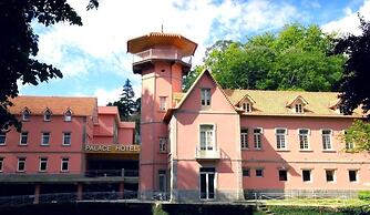 Palace Hotel & Spa Termas de São Vicente