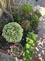 Villa DanLin Hotel - Boutique Class