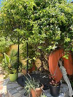 Villa DanLin Hotel - Boutique Class