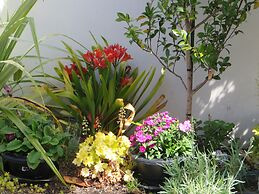 Century Park Motor Lodge