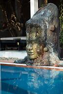 Sonalong Boutique Village & Resort