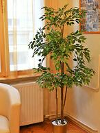 Paprika Apartment Studio