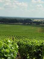 L'Orée des Vignes