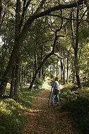 Quinta da Bouça d'Arques