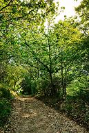 Quinta da Bouça d'Arques