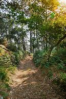 Quinta da Bouça d'Arques