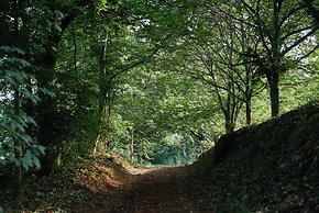 Quinta da Bouça d'Arques
