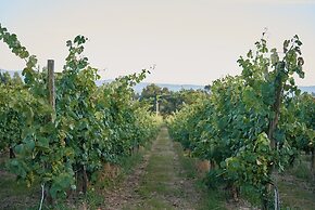 Quinta da Bouça d'Arques