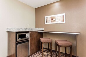 Microtel Inn & Suites by Wyndham Macon