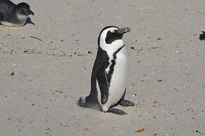 Sonnekus Boutique Hotel & Bistro