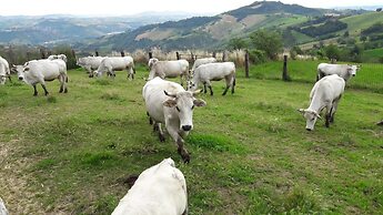 Azienda Agrituristica Colle San Giorgio