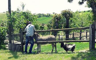 Azienda Agrituristica Colle San Giorgio